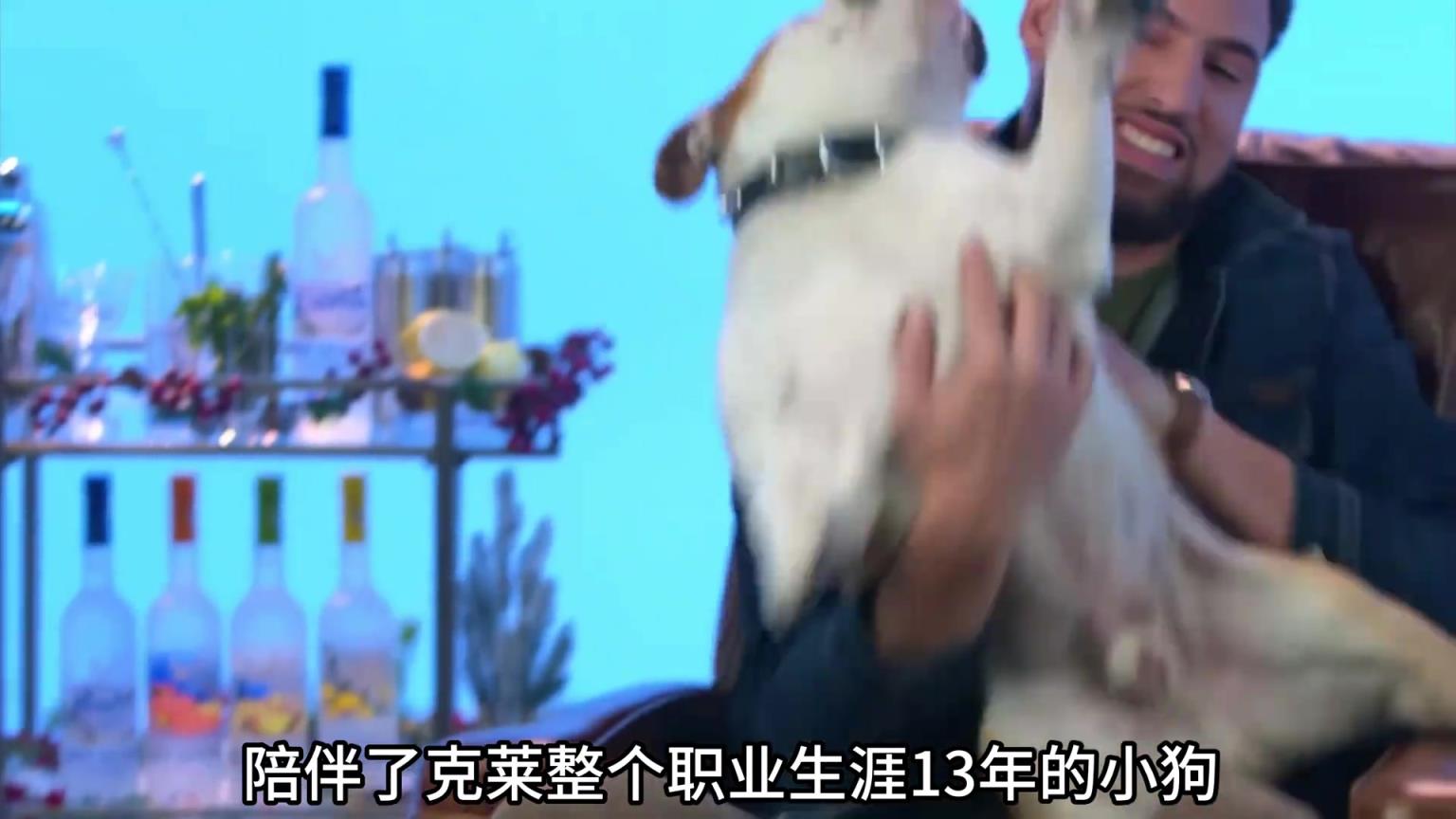 陪伴克萊13年的小狗去世了，不敢相信克萊得多么傷心